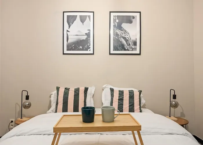 Mubi-Stay - Appartement Chalereux Au Centre Ville D\'Anvers